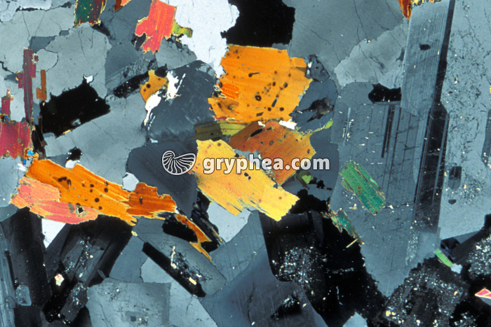 Granite lame2 LPA x5 - gryphea.com